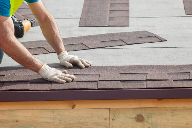 Best Solar Panel Roofing Installation  in Midway, UT